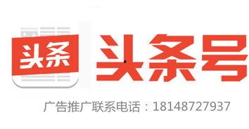 今日头条爆料电话热线,揭秘热点事件背后的真相  第3张